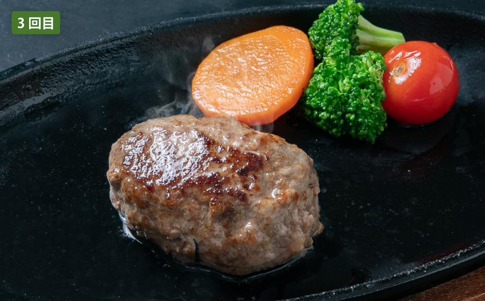 【定期便】贅沢ミート定期便C【 豚肉しゃぶしゃぶ 和牛バラエティセット ハンバーグ 牛肉 豚肉 肉 肉セット 肉加工品 定期便 食品 グルメ お取り寄せ お取り寄せグルメ 人気 おすすめ 送料無料 八