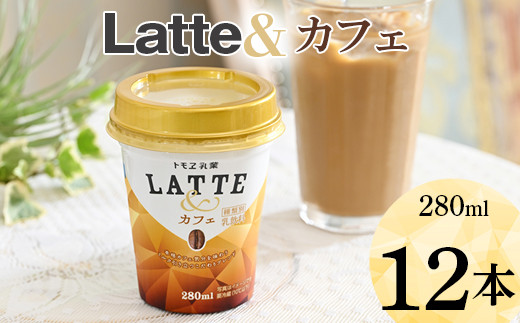 
latte&　カフェ　12本 ※着日指定不可 | ラテ ミルクラテ らて 珈琲 コーヒー coffee おいしい カップ ドリンク 飲料 ラテアンド トモエ乳業 トモヱ乳業 ともえ乳業 ミルク 甘い まろやか ブレンド 茨城県 古河市 本格カフェ _DT03
