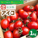 【先行予約】【ふるさと納税】【甘くてジューシー】ミニトマト アイコ 約1.0kg【C&T farm】 [QBG001]トマト フルーツトマト アイコトマト 野菜 トマトジュース 8000円 8千円 1万円以下