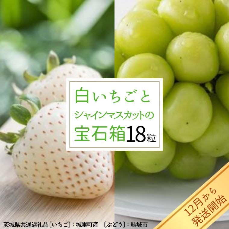 【2026年12月より発送開始】白いちご と シャインマスカット の 宝石箱 18粒（茨城県共通返礼品 [いちご]：城里町産　[ぶどう]：結城市）  果物 フルーツ いちご イチゴ 白苺 ぶどう マス