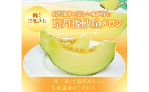 糖度15度以上！京丹後砂丘メロン2玉入り　（2Ｌサイズ以上）／北畿水産(2026年6月下旬～発送) 国産 2玉 フルーツ 果物 メロン 砂丘メロン 甘い 糖度 京都 ふるさと納税 フルーツ ふるーつ 