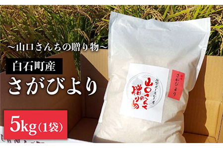 【先行予約】令和6年産新米！ 特別栽培米 さがびより 5kg（白米）山口さんちの贈り物【y'scompany】/お米 ごはん ご飯 特別栽培米 ブランド米 [IAS005]