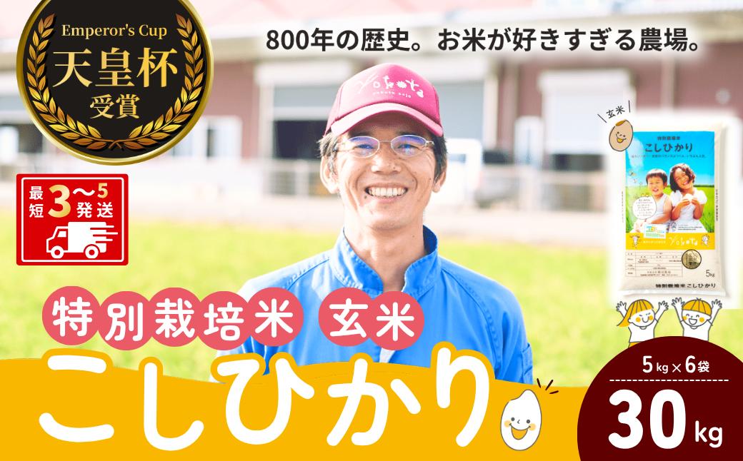 
                  コシヒカリ 特別栽培米 玄米 30kg 天皇杯受賞！横田農場のこしひかり ❙ こしひかり コシヒカリ 厳選米 お米 米 こめ 玄米 特別栽培米 冷めてもおいしい 美味しい こだわり おにぎり 天皇杯 受賞 ブランド米 農薬を抑えた 特別栽培 特別栽培認証 厳選米 人気 農家直送 産地直送 国産 おすすめ 甘みが強い ふっくら 艶やか 茨城県 龍ケ崎市
                