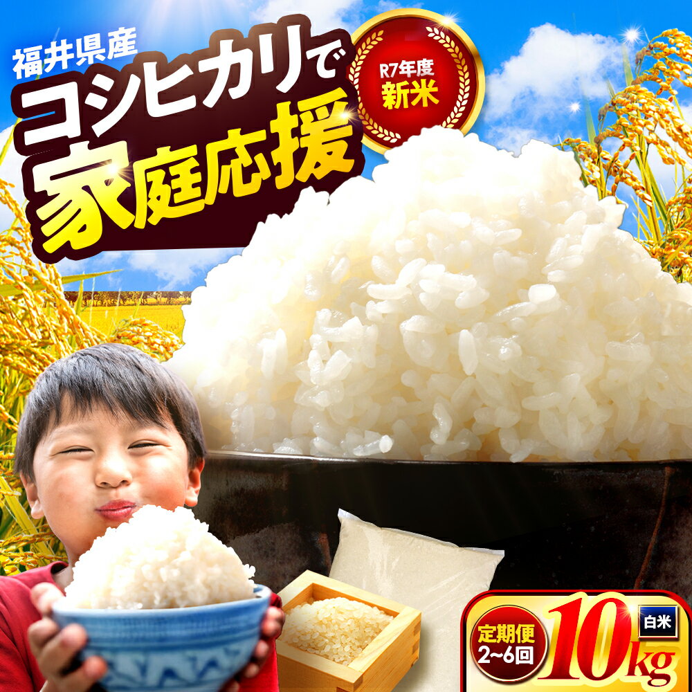 【ふるさと納税】【選べる定期便】小浜市産 コシヒカリ 10kg × 2回 ～ 6回 計 20kg ～ 60kg 精米 若狭 こしひかり ごはん 白米 米 穀物 弁当 おにぎり 頒布会 福井県 小浜市 / 梅田東米穀店 [BFEK014]