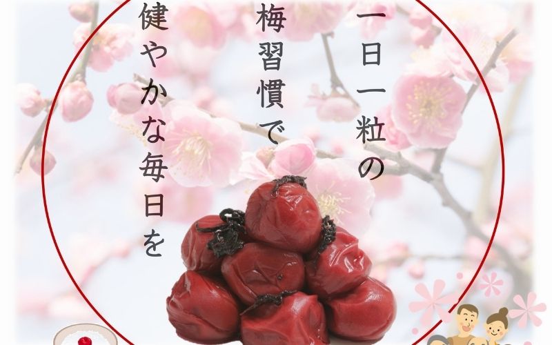 紀州南高梅 しそ（塩分約15%） 500g 　 【yamada018】