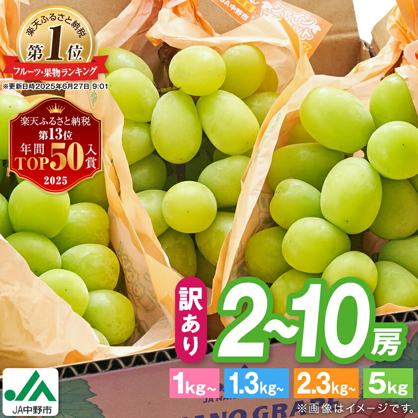 ＼ランキング1位／【 訳あり 】 2024年9月下旬～随時発送 シャインマスカット 【先行受付】■2024年発送_訳ありシャインマスカット3房1.3kg以上 ご自分へのご褒美シャインマスカット JA中野市から産直_ 【配送不可地域：離島・北海道・沖縄県】