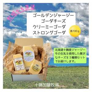 ゴールデンジャージー ゴーダ＆クリーミーゴーダ＆ストロングゴーダ　各100g【配送不可地域：離島】【1601816】