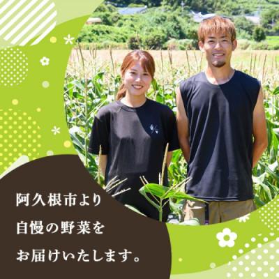 ふるさと納税 阿久根市 スティックセニョール (3kg) 鹿児島県 阿久根市産 ブロッコリー |  | 02