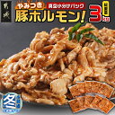 【ふるさと納税】【お歳暮】やみつき豚ホルモン！3kg！真空小分けパック！ - 国産豚 味付きホルモン 300g×10P 真空 小分け 味付き 焼くだけ おつまみ 冷凍 ギフト 期間限定 送料無料 AA-3307-WG【宮崎県都城市は2年連続ふるさと納税日本一！】