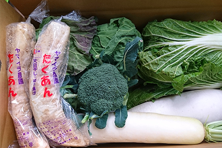 【三浦農家直送】まいるどたくあんと冬野菜セット ※ご入金締切1月15日まで M003-008