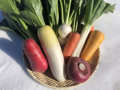 旬の野菜セット 8～10品 冬野菜 有機JAS認証 有機栽培 野菜 野菜セット 千曲市産 種類はお任せ