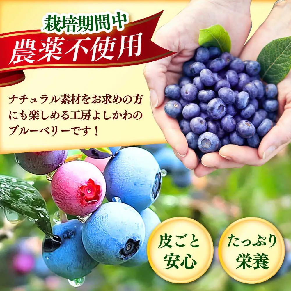 国産 ブルーベリー 1kg [ABAK001] フルーツ ベリー
