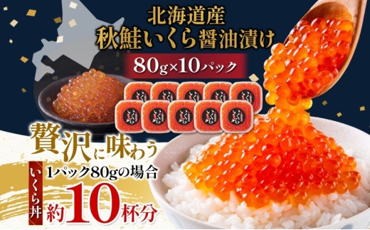 【先行予約】いくら 醤油漬け 80g × 10個 ( 800g ) 小分け 便利 手作り 自家製 生もみ 伝統製法 お取り寄せ ギフト 贈答 海鮮 魚介 魚卵 山十前川商店 北海道 標津町