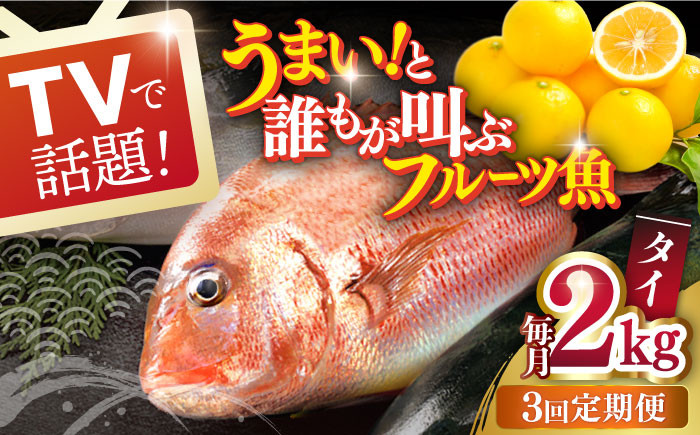 
            【全3回定期便】タイ 平戸なつ香 丸々1匹 （約2kg）【坂野水産】 [KAA476]
          