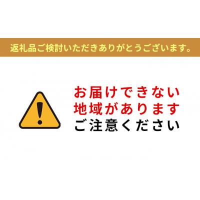 ふるさと納税 大河原町 全自動洗濯機 7.0kg 7キロタイマー ステンレス槽アイリスオーヤマ[53750712] |  | 01