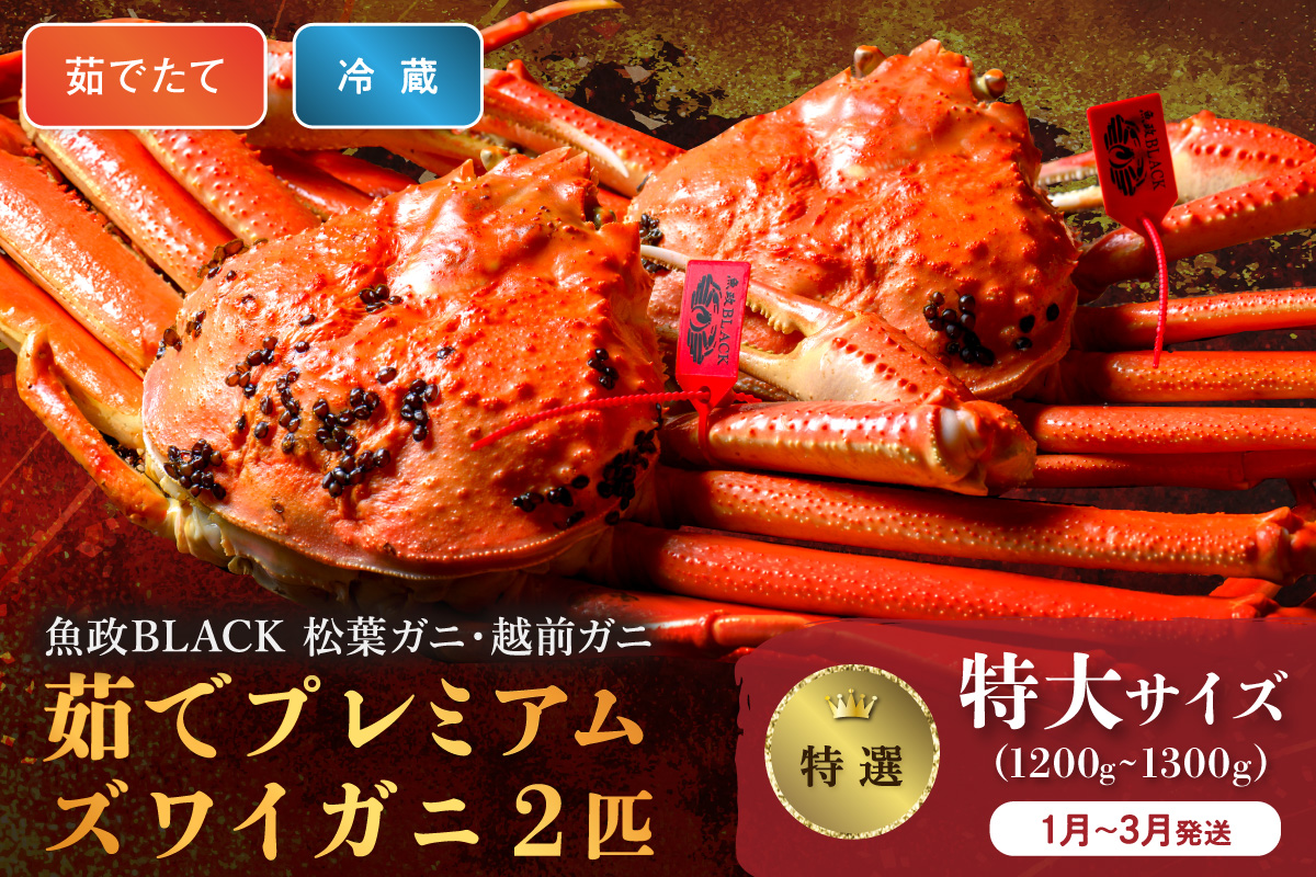 【蟹の匠 魚政】茹で　プレミアムズワイガニ 魚政BLACK（松葉ガニ・越前ガニ）特撰 特大サイズ（1200～1300g） 2匹セット(1月～3月発送） 松葉蟹 蟹 かに カニ ガニ がに ボイル 海産物 甲殻類 海の幸 まるごと　UO01309