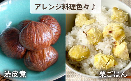 橋本栗園の能登栗(むき栗) 250g × 2パック 計500g / 栗 マロン 和栗