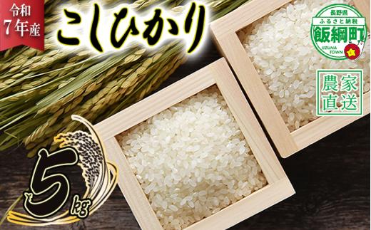 米 こしひかり 5kg ( 令和7年産 ) 沖縄県への配送不可 2025年10月上旬頃から順次発送予定 米澤商店 コシヒカリ 白米 精米 長野県 飯綱町 [1348]