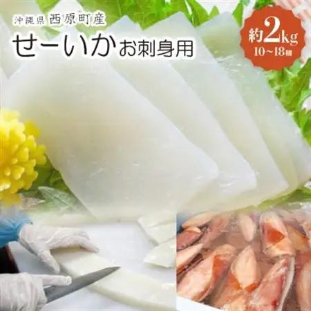 セーイカ お刺身用 約2kg(10～18柵)【配送不可地域：離島】【1564827】