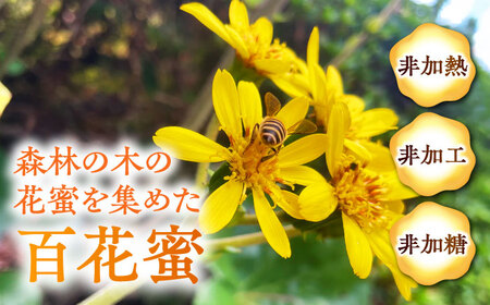 【先行予約】【数量限定】日本みつばち菊鹿約405g【山麓はっち】[ZBM010]