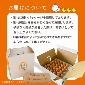 【 定期便 3回 】 卵 マルゲンの米たまご Lサイズ 50個 卵