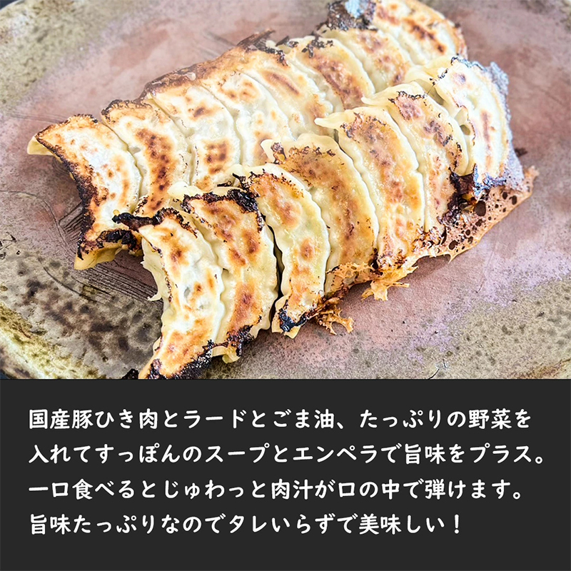 4個セットすっぽん餃子 餃子 スープ すっぽんスープ スッポンスープ 料理 肉 エキス 国産 グルメ 老舗 全国 取り寄せ 取り寄せグルメ コラーゲン 液体 美容 精力 効果 ギフト プレゼント おす