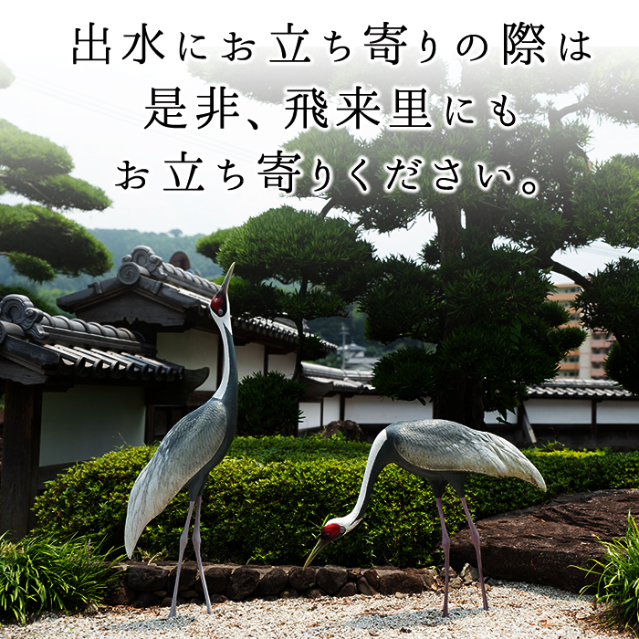 i169 雲海酒造のさつま木挽黒麹仕込みスリムパック(900ml×6本)焼酎の本場鹿児島の芋焼酎！厳選された黄金千貫使用！【出水市出水駅観光特産品館 飛来里】