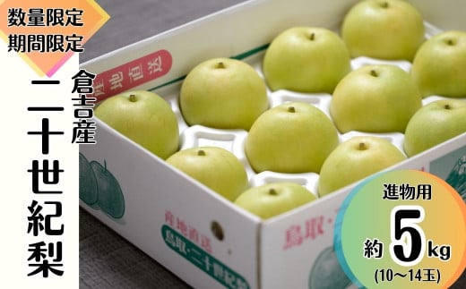 
            【先行予約】【数量限定】進物用 二十世紀梨 5kg 令和7年産 鳥取 梨 果物 フルーツ 和梨 先行予約 数量限定 詰め合わせ ギフト ギフト用 20世紀梨
          