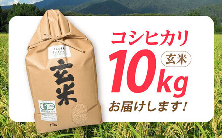 コシヒカリ10kg[AQBL004]玄米玄米玄米玄米玄米玄米玄米玄米