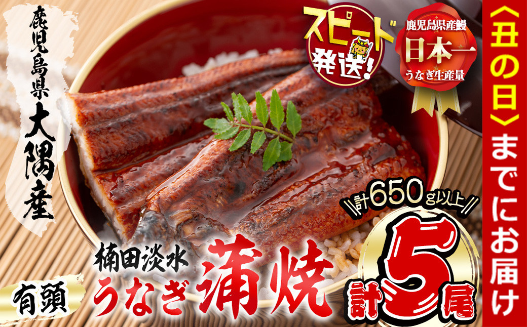 
楠田の極うなぎ 蒲焼き130g以上×5尾(650g以上) うなぎ 鰻 ウナギ 国産 鹿児島県産 九州産 蒲焼き 冷凍 うな重 ひつまぶし c0-092
