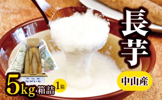 長芋 中山産 ( 5kg × 1箱 )  | 長いも 長芋 長野県 松本市  芋 いも