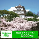 【ふるさと納税】兵庫県明石市の対象施設で使える 楽天トラベルクーポン 寄附額20,000円（6,000円クーポン）　 兵庫 関西 宿泊 宿泊券 ホテル 旅館 旅行 旅行券 観光 トラベル チケット 旅 宿 券