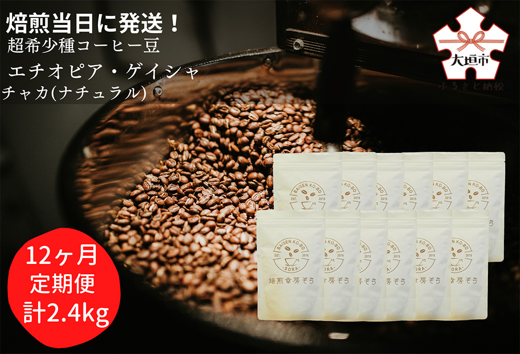 【定期便(12か月)】焙煎当日に発送！超希少種コーヒー 粉 『エチオピア ゲイシャ』ゲシャビレッジ農園 ナチュラル