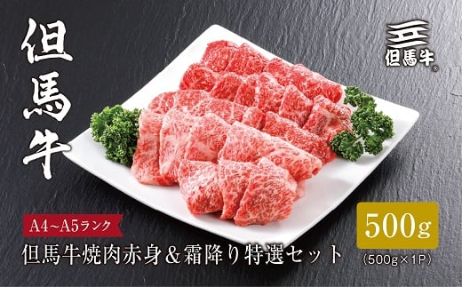 
＜但馬牛＞焼肉 赤身&霜降り 特選セット500g【1313161】
