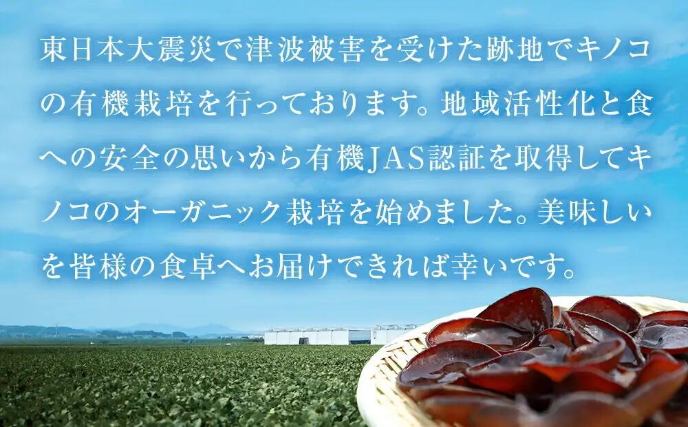 名取市産 しいたけ たけ蔵パウダー 20g×10袋セット 乾燥椎茸 粉末