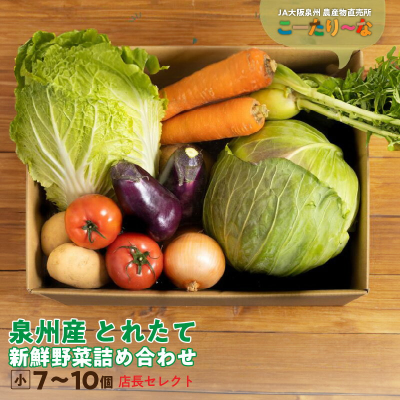 【ふるさと納税】直売所 店長セレクト 季節の野菜セット 小 7個 〜 10個 8kg以内 JA大阪泉州 農産物直売所 こーたり〜な とれたて 新鮮 野菜 詰め合わせ セット 野菜セット 泉佐野市産 泉州産 国産 お取り寄せ 大阪府 泉佐野市 送料無料