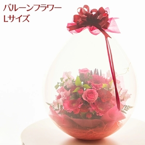 バルーンフラワー Lサイズ｜ バルーンフラワー 長野県 千曲市