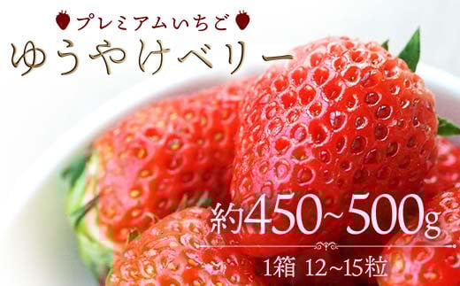 プレミアムいちご ゆうやけベリー 約450～500g（12～15粒）  いちご イチゴ 苺 デザート フルーツ 果物 くだもの 果実 食品 F20C-981