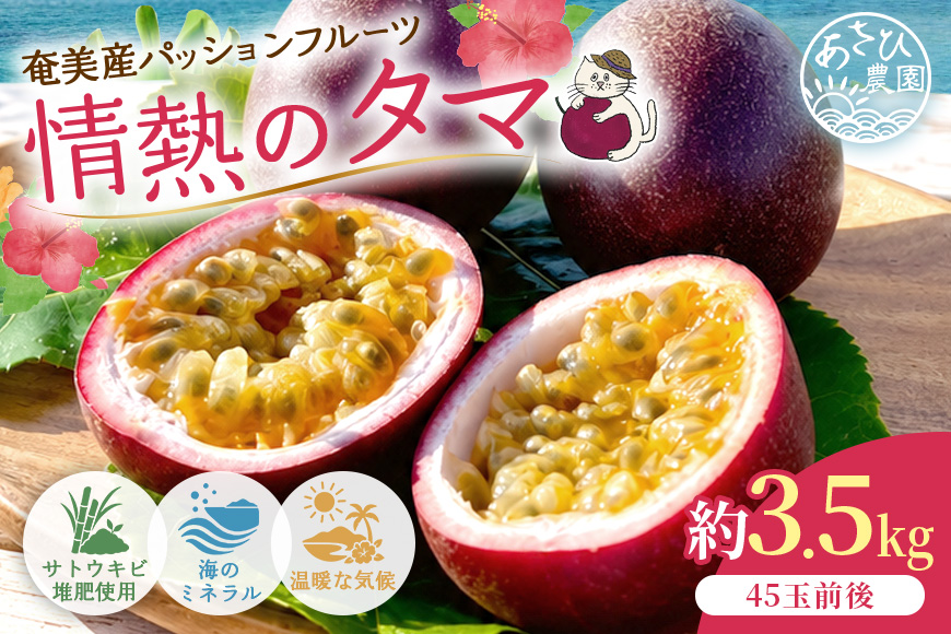 【2027年先行予約】【情熱のタマ】奄美産パッションフルーツ 3.5kg（45玉前後）　A203-001-02