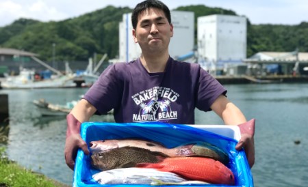 新鮮土佐魚の詰合せセットC