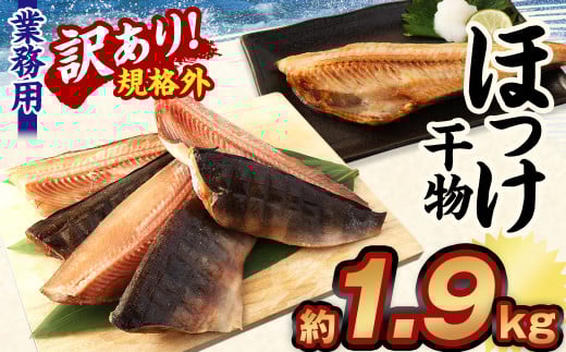 【訳あり規格外】 業務用ほっけ干物 1.9kg