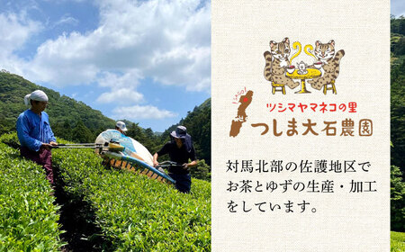 【全12回定期便】対馬 紅茶 リーフ 30g×6個 和紅茶 国産 茶葉  [WBE007]