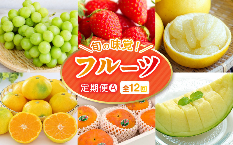 
            【フルーツ定期便Ａ】2026年旬の味覚限定セット！
          