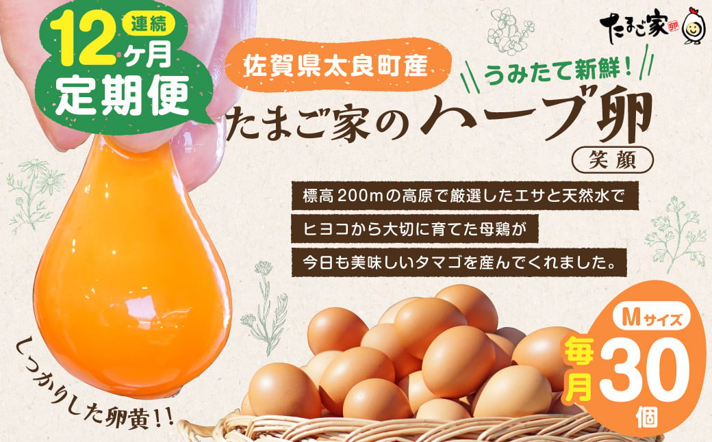 
            たまご家のハーブ卵（笑顔）30個 12ヵ月定期便 たまご 卵 玉子 タマゴ 鶏卵 卵かけご飯 定期便 佐賀県 太良町 T26
          