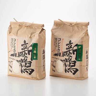 ふるさと納税 五泉市 令和6年　新潟県五泉市四ヶ村産　コシヒカリ5kg×2　10kg精白米 |  | 01