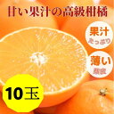 【ふるさと納税】愛果28号 10玉入り 2L～3L 先行予約 12月発送 愛媛 数量限定 愛媛県産 人気 柑橘 伊予市｜C56