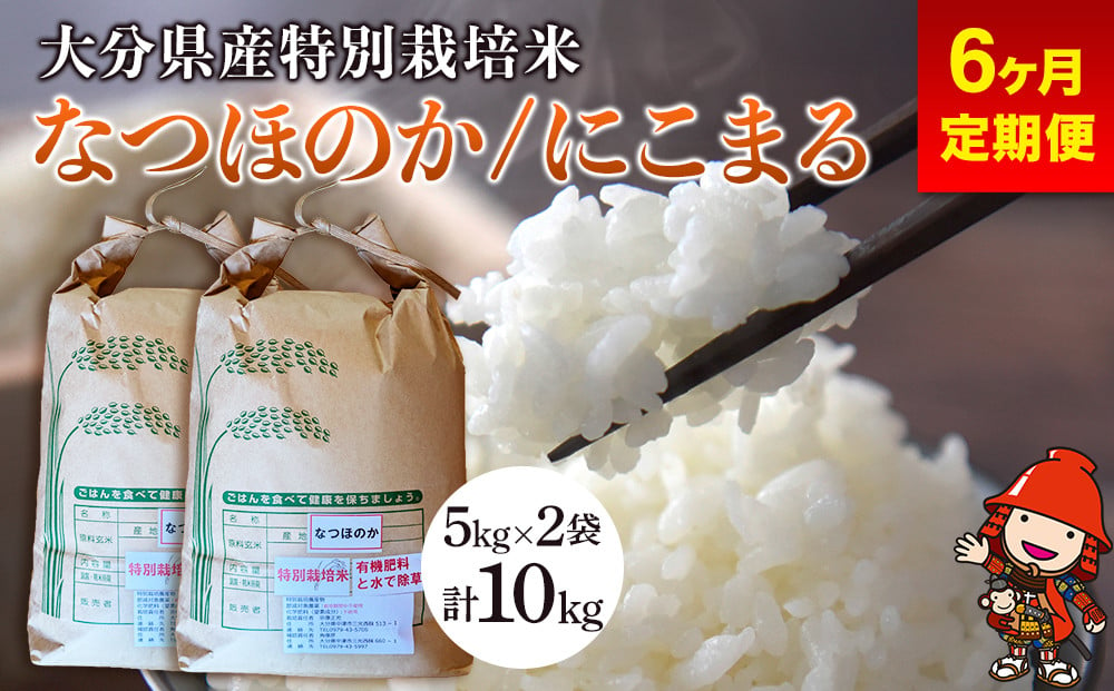 
            【6ヶ月定期便】令和6年産 特別栽培米 なつほのか にこまる 5kg×2袋 合計10kg (毎月1回) 宗像農園 大分県中津市三光産 栽培期間中 農薬不使用 精米 玄米 選べる 国産 お米 米 ご飯 白米 農家直送 大分県産 九州産 中津市
          