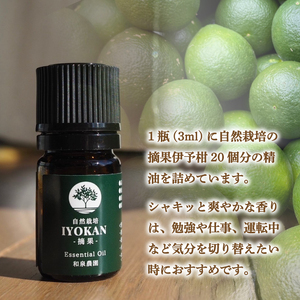 いよかん 精油3ml &アロマウッドセット 『 IYOKAN-摘果- 』| 伊予柑 精油 いよかん 精油 アロマオイル 精油 エッセンシャルオイル アロマウッド アロマ 精油 愛媛県 松山市 和泉農園