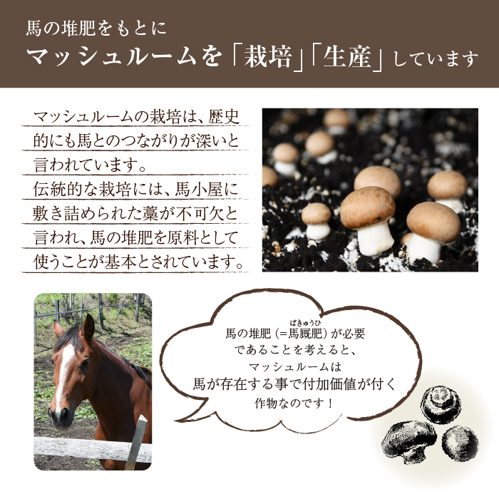 馬活堆肥（マッシュルーム堆肥）22L×1袋 3ヶ月定期便 ／ ジオファーム 堆肥 たい肥 たいひ ガーデニング 畑 庭木 家庭菜園 土壌改良材 花 植木 植物 農作物 野菜 造園 果樹 土作り 土づくり
