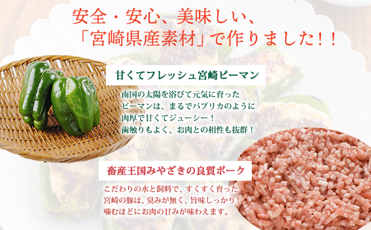 国産黒豚と肉厚な宮崎県産ピーマンを使用 ピーマンの肉詰め 1kg(500g×2p) 冷凍食品 お惣菜 時短調理 1人暮らし お弁当のおかず 10000円 ワンストップオンライン お肉 豚肉 時短料理 